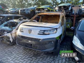  Peugeot Partner Partner (EA//EF/EN/EU), Van, 2018 1.5 BlueHDi 130 2025/12