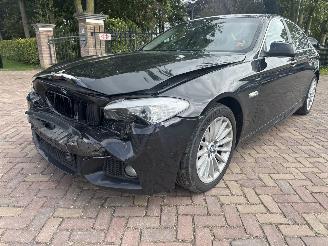  BMW 5-serie 528I High Excutive 2010/6
