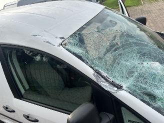 Volkswagen Caddy 1.6 TDI BMT picture 17