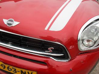 Mini Cooper S Countryman Chilli S picture 10