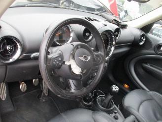 Mini Cooper S Countryman Chilli S picture 14