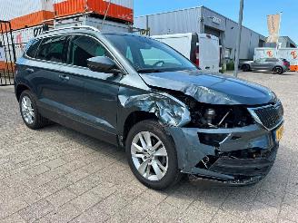 Unfallwagen Skoda Karoq 1.5 TSI ACT Business Edition 2020/7