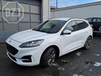 Vrakbiler auto Ford Kuga  2023/1