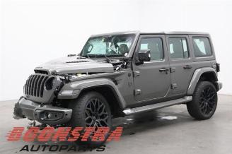 Dezmembrări autoturisme Jeep Wrangler Wrangler (JL), Terreinwagen, 2017 2.0 T 16V 2021/3