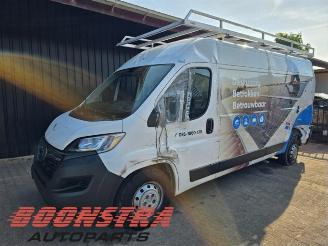 Opel Movano Movano, Van, 2021 2.2 D 140 picture 1