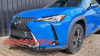 Lexus UX UX, SUV, 2019 250h 2.0 16V picture 23