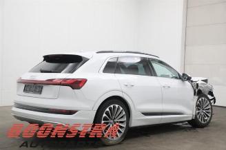 Audi E-tron E-tron (GEN), SUV, 2018 55 quattro picture 14