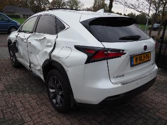 Lexus NX 300h awd f sport picture 6