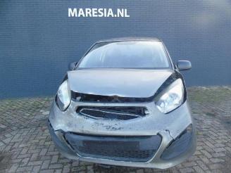 Kia Picanto Picanto (TA), Hatchback, 2011 / 2017 1.0 12V picture 2