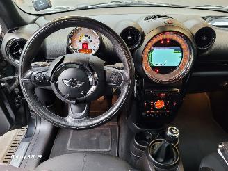 Mini Countryman 1.6 72-KW 6-Bak Chili Panoramadak picture 19