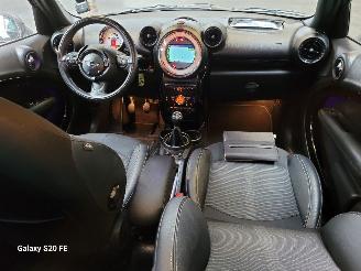 Mini Countryman 1.6 72-KW 6-Bak Chili Panoramadak picture 18
