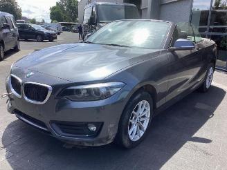 Sloopauto BMW 2-serie 2 serie (F23), Cabrio, 2014 / 2021 218i 1.5 TwinPower Turbo 12V 2019/1