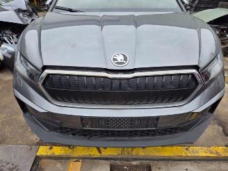 Dezmembrări autoturisme Skoda Enyaq Enyaq iV (NYAC), SUV, 2021 80 2023/7