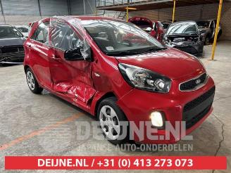 Coche accidentado Kia Picanto Picanto (TA), Hatchback, 2011 / 2017 1.0 12V 2015
