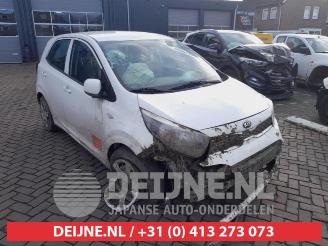 Sloopauto Kia Picanto Picanto (JA), Hatchback, 2017 1.0 12V 2019/9