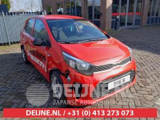 Dezmembrări autoturisme Kia Picanto Picanto (JA), Hatchback, 2017 1.0 12V 2019/2
