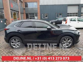 Mazda CX-30 CX-30 (DM), SUV, 2019 2.0 e-SkyActiv-G 122 16V picture 8