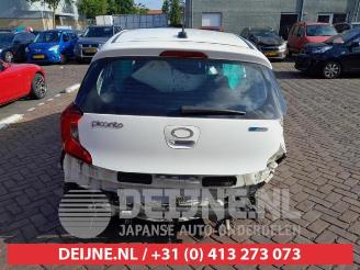 Kia Picanto Picanto (JA), Hatchback, 2017 1.0 12V picture 6