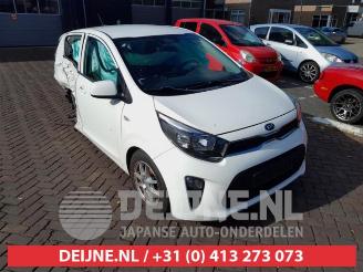 Kia Picanto Picanto (JA), Hatchback, 2017 1.0 12V picture 1