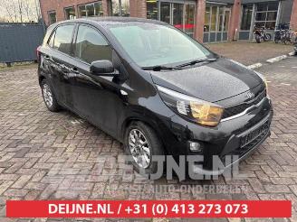 Salvage car Kia Picanto Picanto (JA), Hatchback, 2017 1.0 12V 2019/2