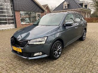 Auto incidentate Skoda Fabia 1.0 Business Edition 2019/7