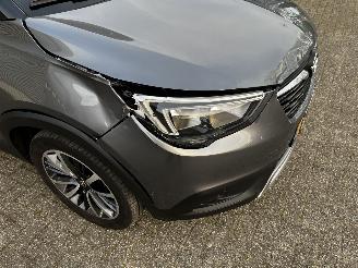 Opel Crossland X 1..2TURBO / PANODAK / CRUISE / NAVI picture 4