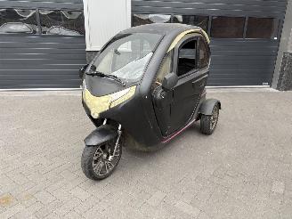 uszkodzony microcars Overige  ELECTRISCHE SCOOTMOBIEL 3 WIELER 2017/6