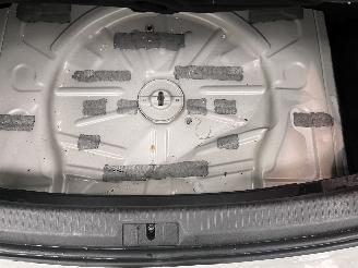 Volkswagen e-Golf E-Dition 5-drs Navi Clima picture 15
