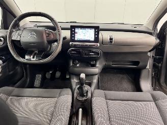 Citroën C4 cactus 1.2 PureTech Navi Clima picture 11