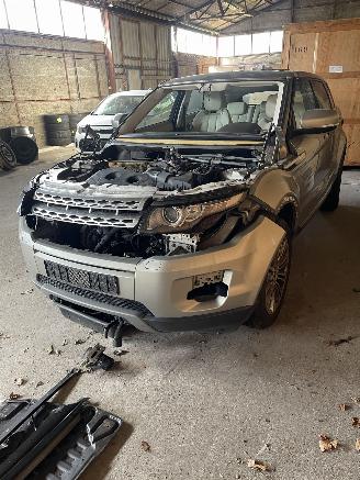 Autoverwertung Land Rover Range Rover Evoque 2.0 Si 4wd 2011/1