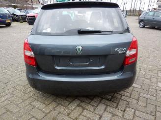 Skoda Fabia  picture 5