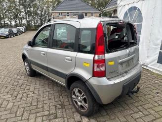 Fiat Panda Panda (169), Hatchback, 2003 / 2013 1.3 JTD 16V Multijet 4x4 picture 5
