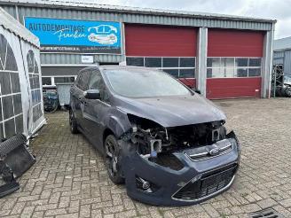 Autoverwertung Ford Grand C-Max Grand C-Max (DXA), MPV, 2010 / 2019 1.6 SCTi 16V 2011/7