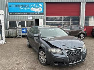 rozbiórka samochody osobowe Audi A3 A3 Sportback (8PA), Hatchback 5-drs, 2004 / 2013 1.6 2006/10