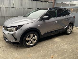  Opel Grandland X 1.2 Turbo (96kW) GS Line - Zijschade links- en rechtsachter - Schade linksvoor - Motor ok! 2023/6