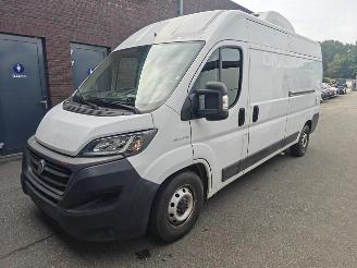 Unfall Kfz Van Fiat Ducato 120 L1H1 RS: 3000 mm 2021/6