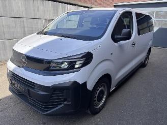 voitures fourgonnettes/vécules utilitaires Opel Vivaro Basis M (L2) 2.0 (106kW) Dubbelcabine 5P EU6 2024/6