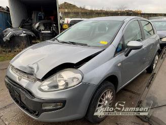 Fiat Punto Punto Evo (199), Hatchback, 2009 / 2012 1.4 picture 1