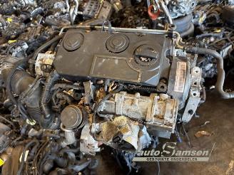 Volkswagen Golf Golf V Variant (1K5), Combi, 2007 / 2009 1.9 TDI picture 19