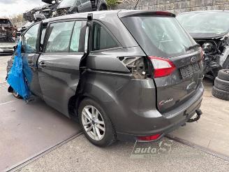 Ford Grand C-Max Grand C-Max (DXA), MPV, 2010 / 2019 1.0 Ti-VCT EcoBoost 12V 125 picture 23