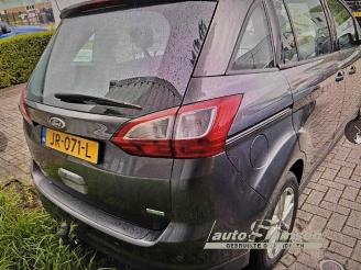 Ford Grand C-Max Grand C-Max (DXA), MPV, 2010 / 2019 1.0 Ti-VCT EcoBoost 12V 125 picture 16