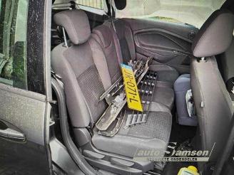 Ford Grand C-Max Grand C-Max (DXA), MPV, 2010 / 2019 1.0 Ti-VCT EcoBoost 12V 125 picture 12