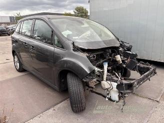 Ford Grand C-Max Grand C-Max (DXA), MPV, 2010 / 2019 1.0 Ti-VCT EcoBoost 12V 125 picture 19