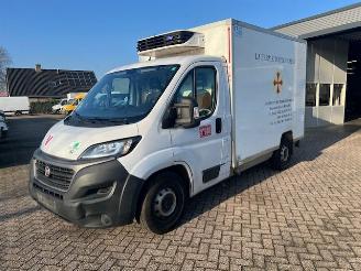 krockskadad bil bedrijf Fiat Ducato 2.3 MJ 103KW AUTOM.  KOELING  TIEFKUHLUNG KLIMA EURO6 2021/1