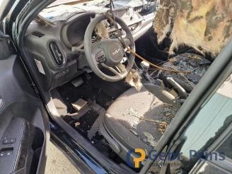 Kia Picanto Picanto (JA), Hatchback, 2017 1.0 DPi 12V picture 5