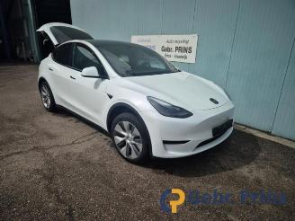 Vrakbiler auto Tesla Model Y Model Y (5YJY), SUV, 2019 RWD 2023/2