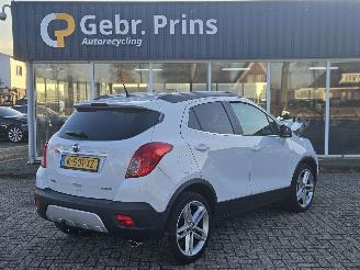 Avarii autoturisme Opel Mokka 1.4 Turbo 16V 4x2 SUV  Benzine 1.364cc 103kW (140pk) FWD 2015/8