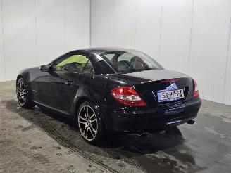 Damaged car Mercedes SLK 1.8 200 K 16V Cabrio  Benzine 1.796cc 120kW (163pk) RWD 2004/6
