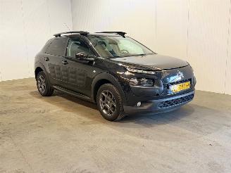  Citroën C4 cactus 1.2 PureTech 110 12V Hatchback 4Dr Benzine 1.199cc 81kW (110pk) FWD 2017/6