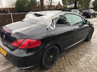 Peugeot 307 cc picture 4